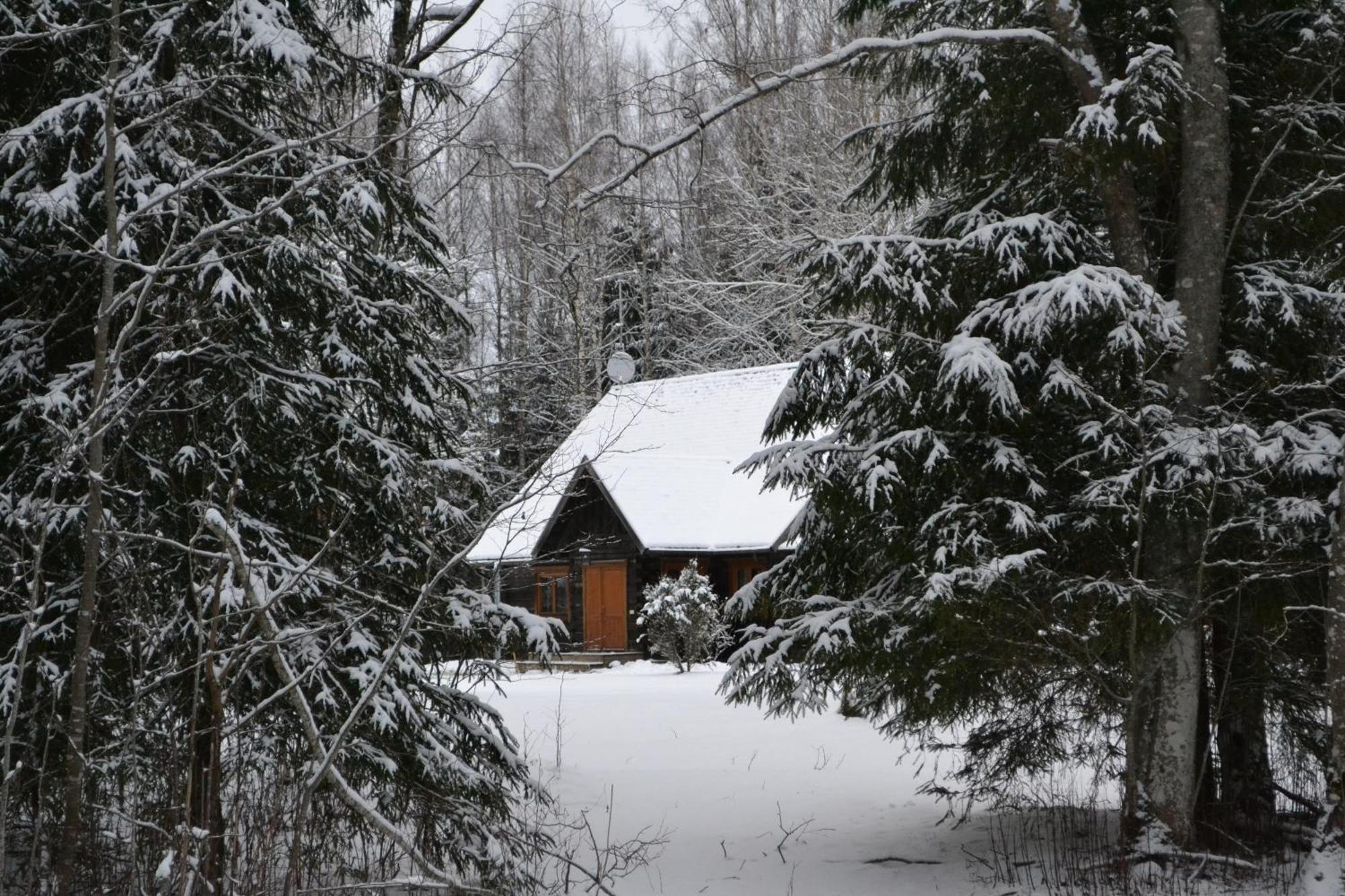 Toosikannu Nature Resort Karu Экстерьер фото